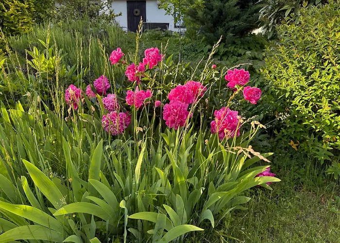 Gartenoase Semesterbostad Weins